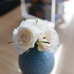 公寓中央 公寓