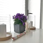公寓 公寓中央