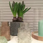 公寓中央 公寓 美因茨