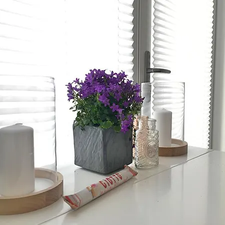 Appartement The