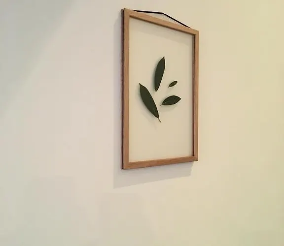 ジ セントラル アパート *