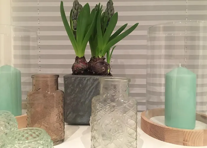 ジ セントラル アパート マインツ