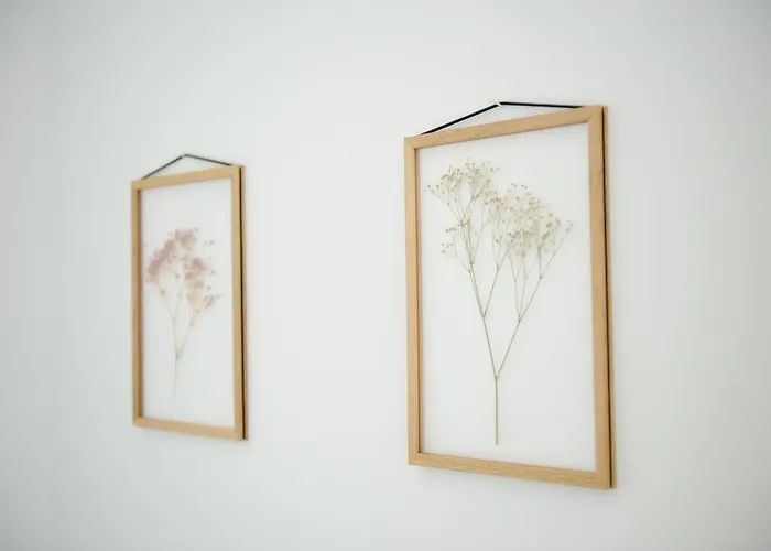 The Appartement Mayence